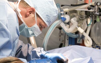 Des précautions à prendre lors d’un séjour à l’hôpital